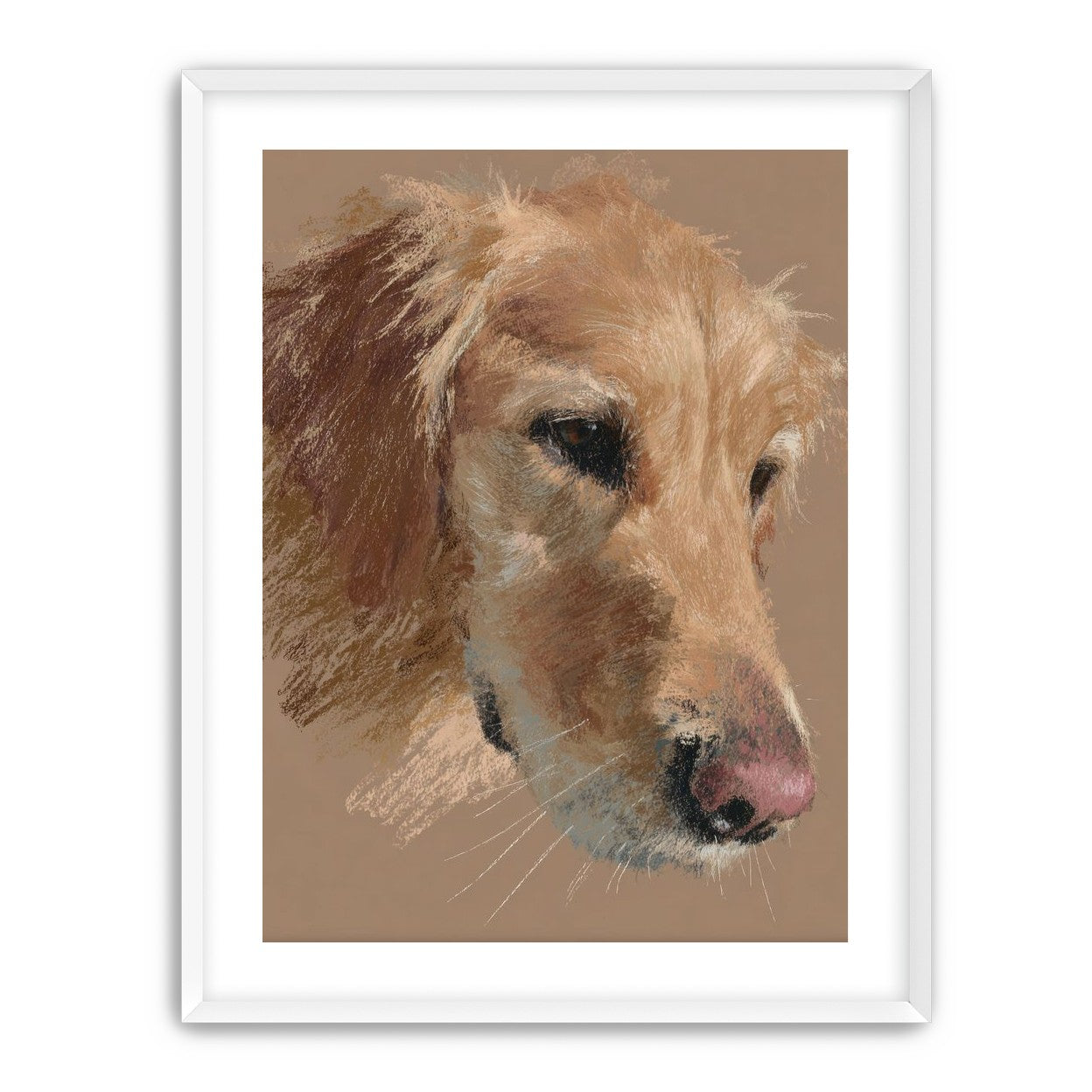 Warm browns on a golden retriever