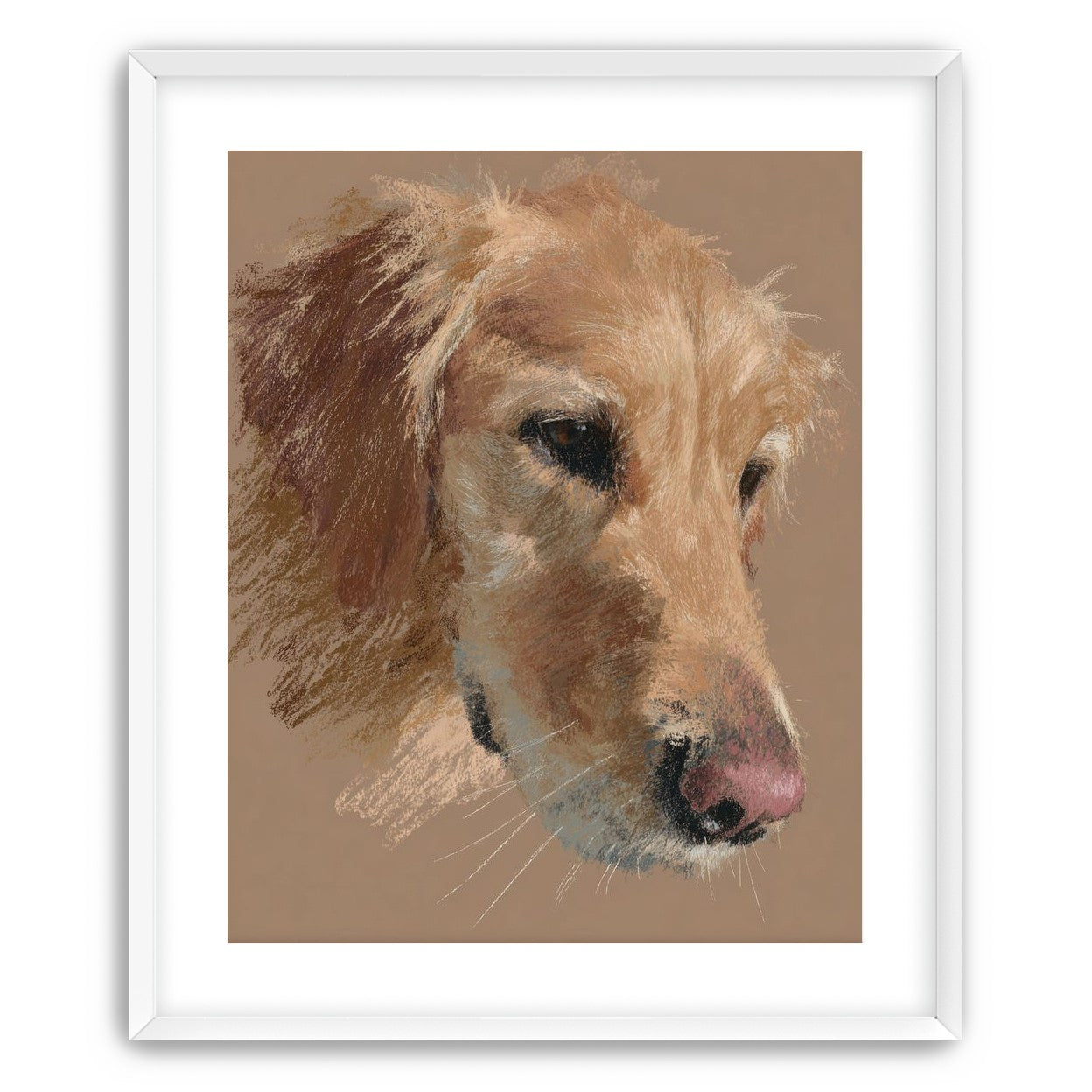 Warm browns on a golden retriever