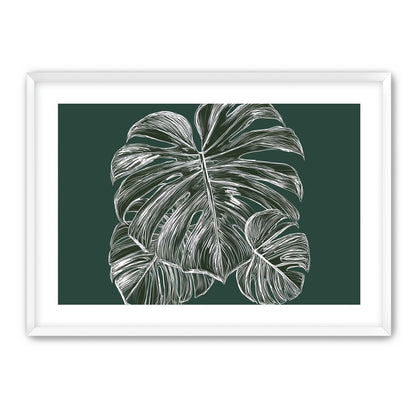 White veins on green field