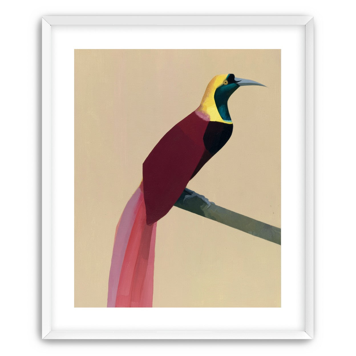 A bright bird on a branch