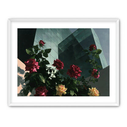 Roses against glass towers