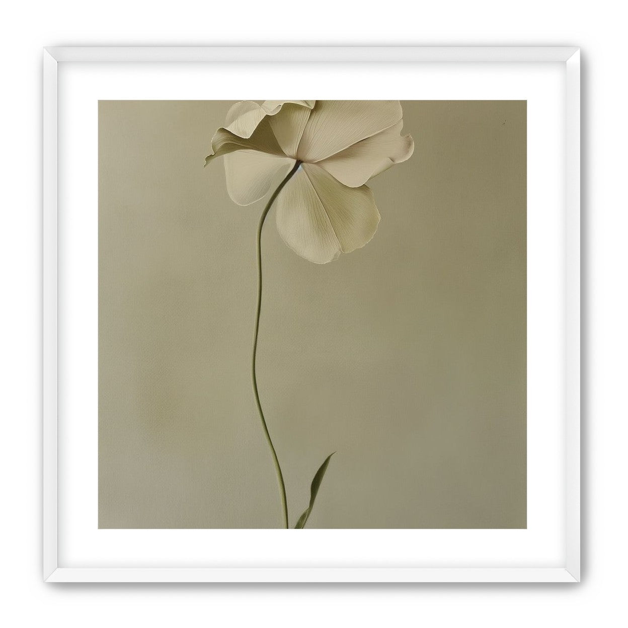 One flower leaning into quiet