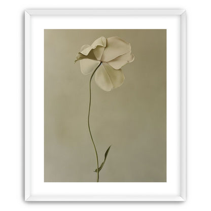 One flower leaning into quiet