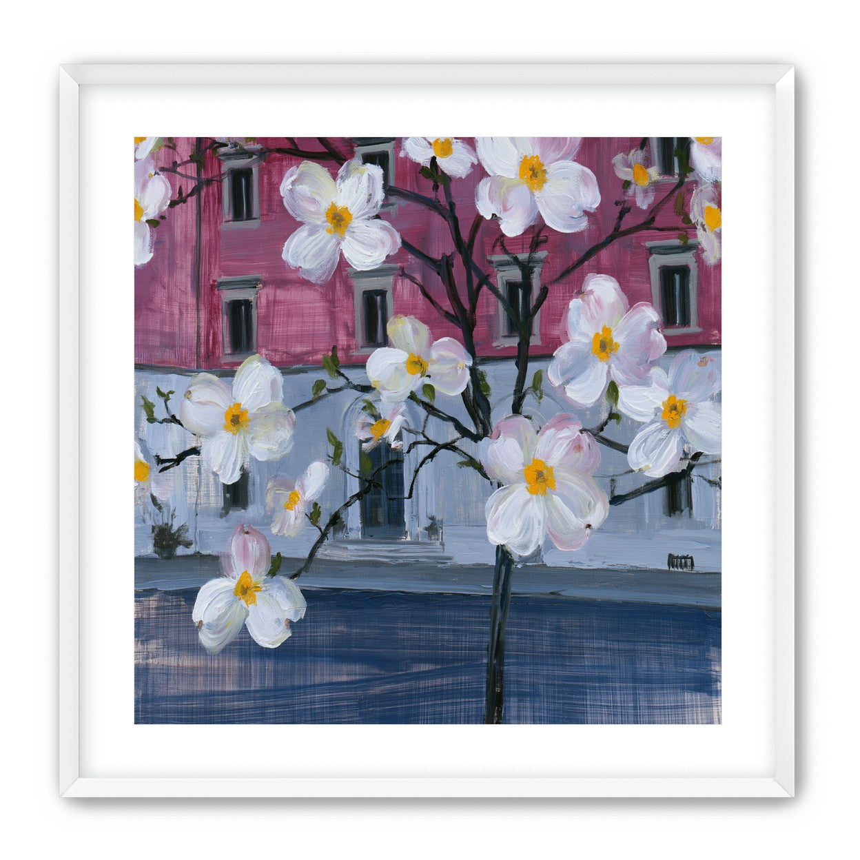White blossoms over the pink house