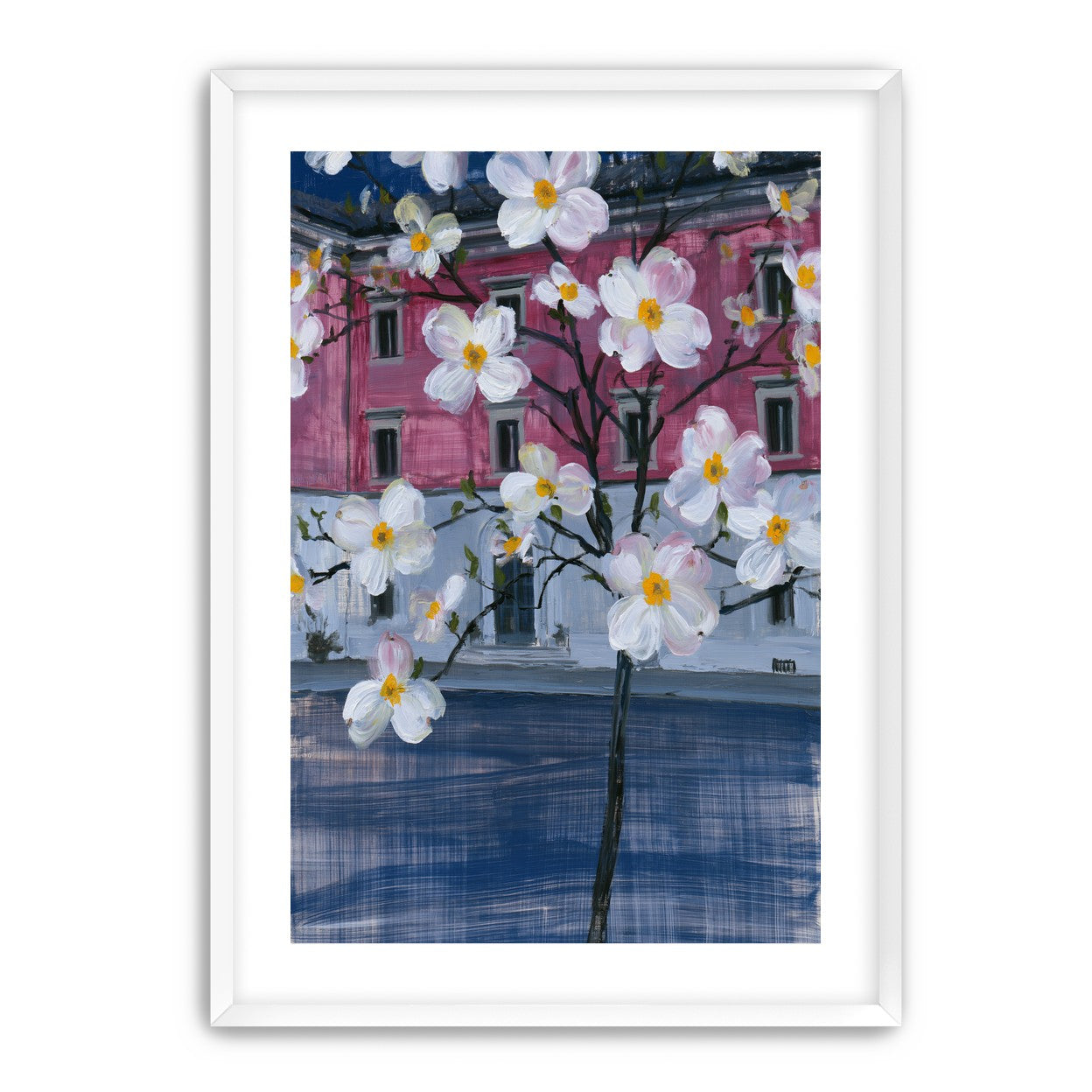 White blossoms over the pink house