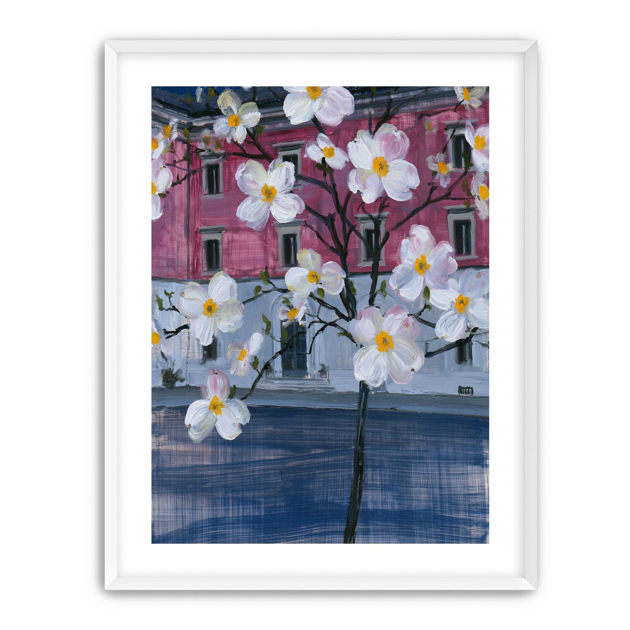 White blossoms over the pink house