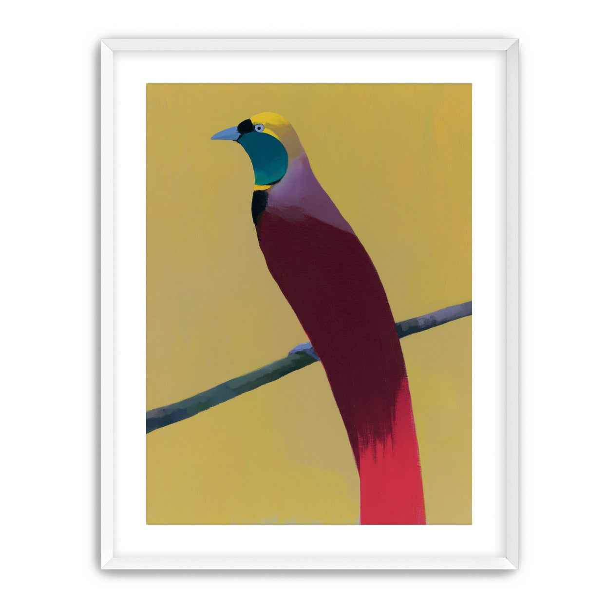 A bright bird on yellow