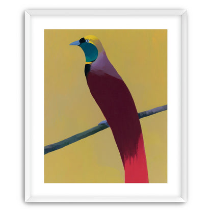 A bright bird on yellow