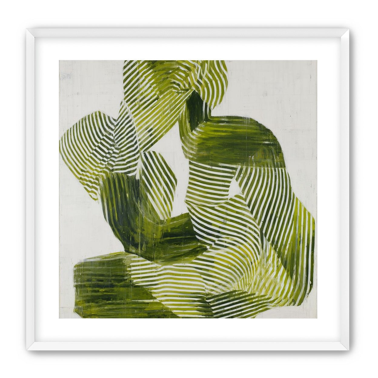 Olive stripes in repose