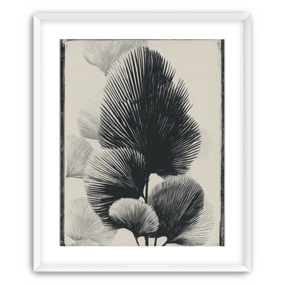 Fan fronds in ink shadow