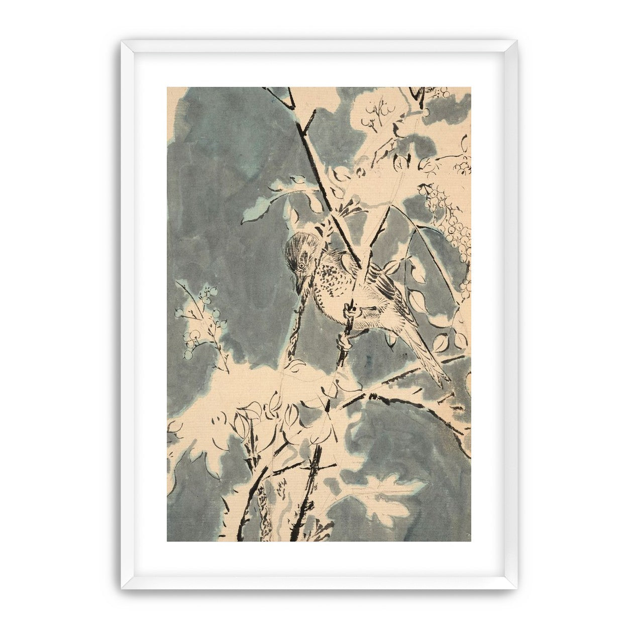 Quiet bird in berry branches