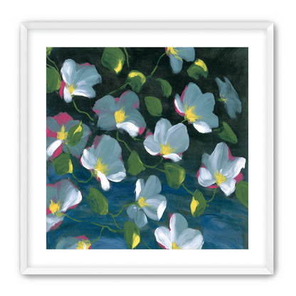 Pale blooms on black