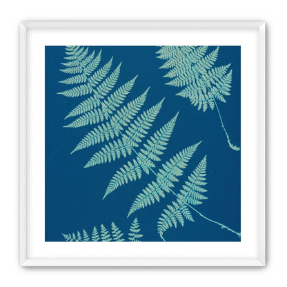 Pale ferns in deep blue