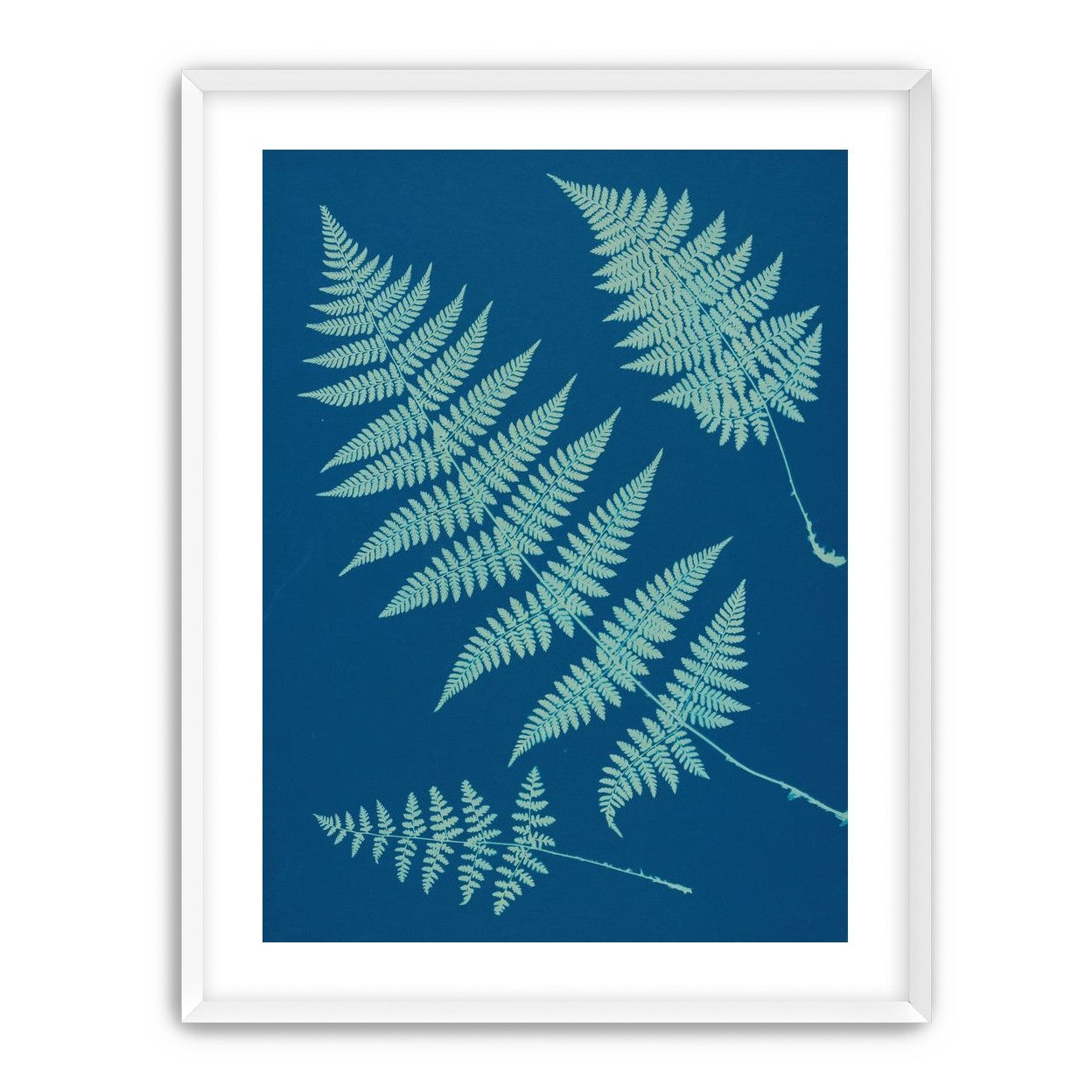 Pale ferns in deep blue