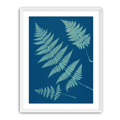 Pale ferns in deep blue