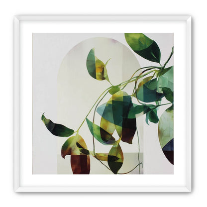 Leaves in a pale halo