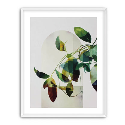 Leaves in a pale halo