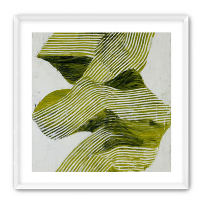 Olive stripes across white