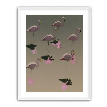 Flamingos in still water