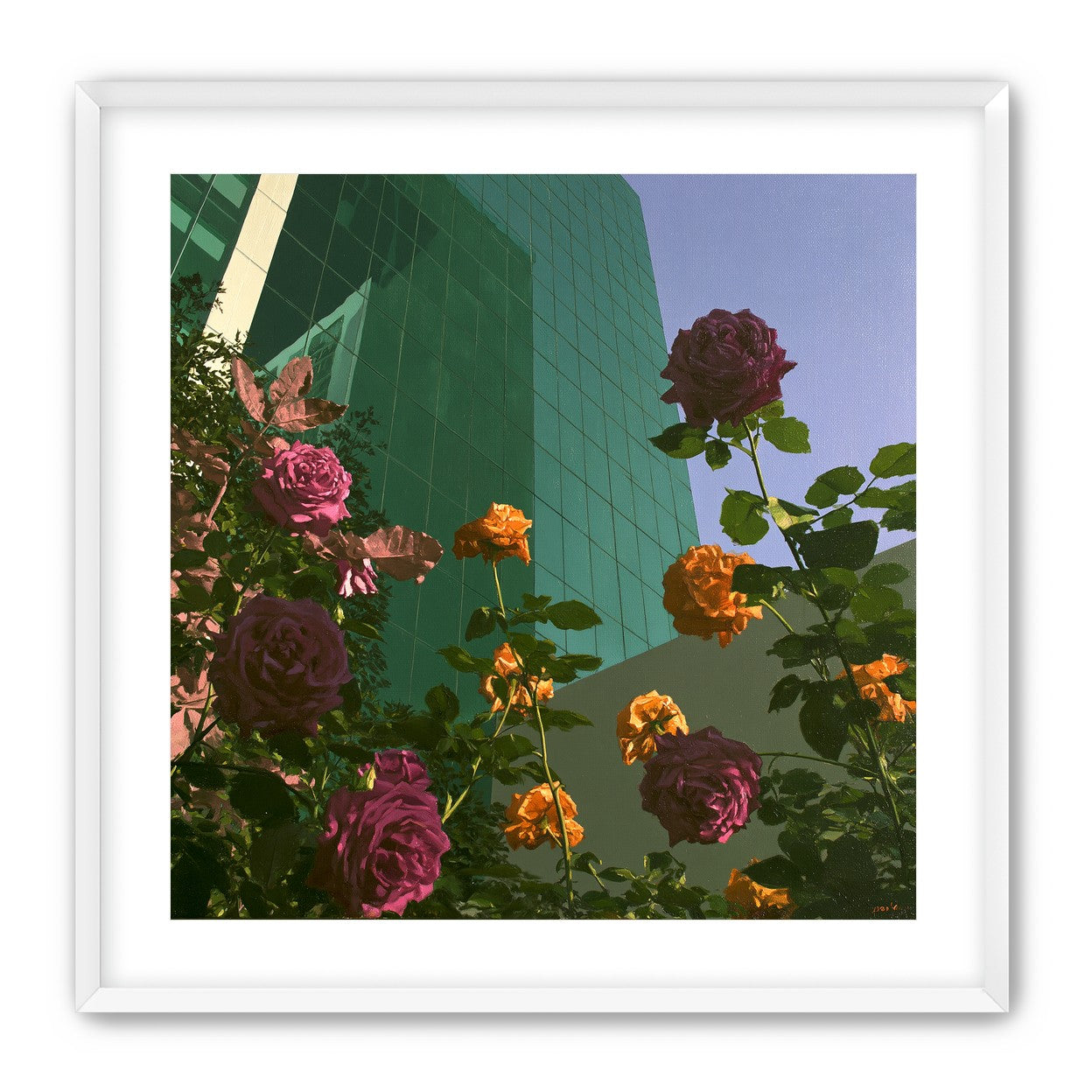 Roses climbing the glass wall