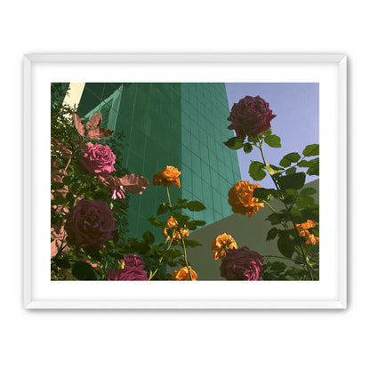 Roses climbing the glass wall