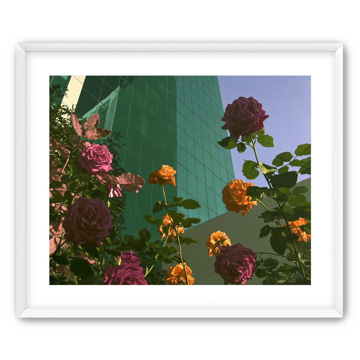 Roses climbing the glass wall