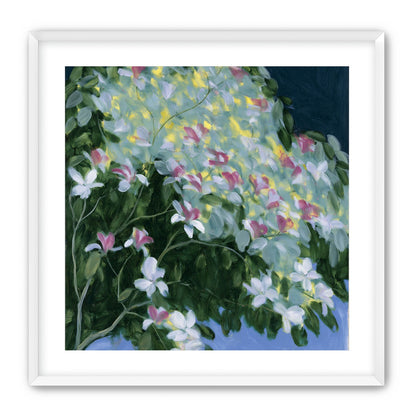 Blossoms across the night sky
