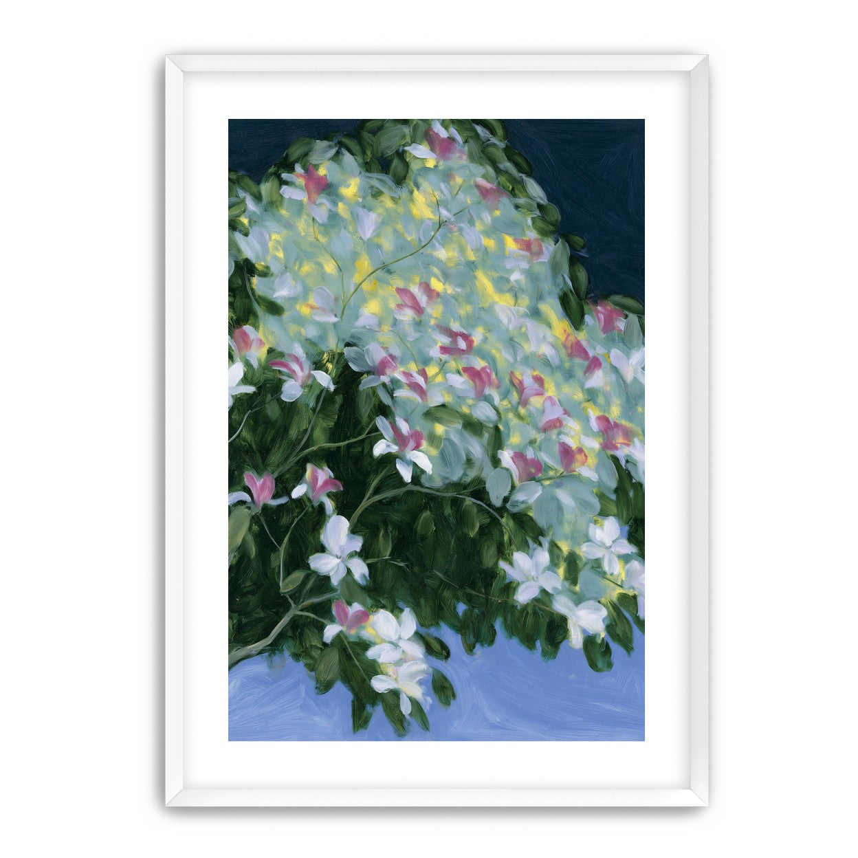 Blossoms across the night sky