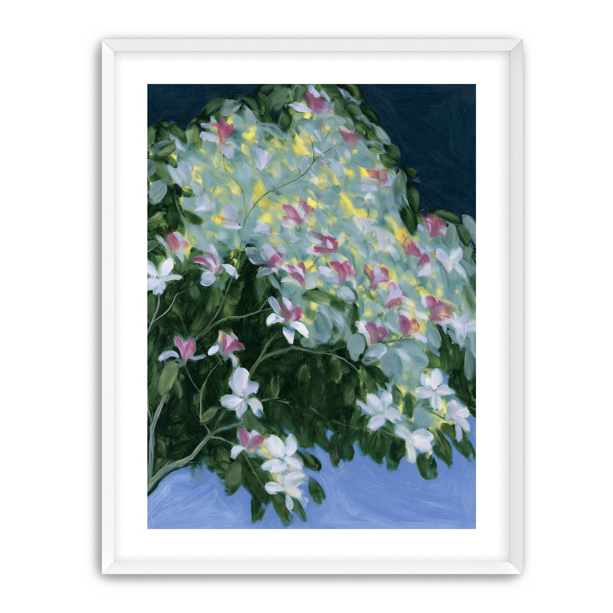 Blossoms across the night sky
