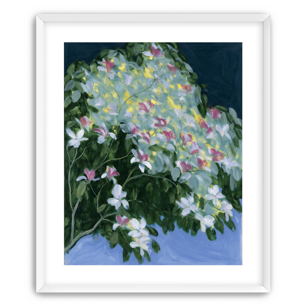 Blossoms across the night sky