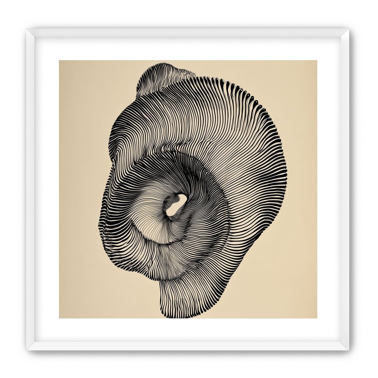 A hollow within black lines