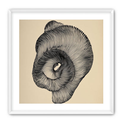 A hollow within black lines