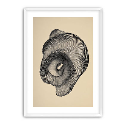 A hollow within black lines