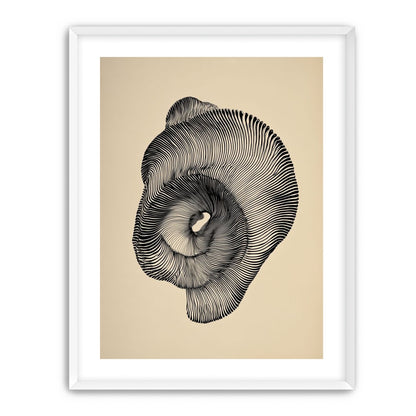 A hollow within black lines