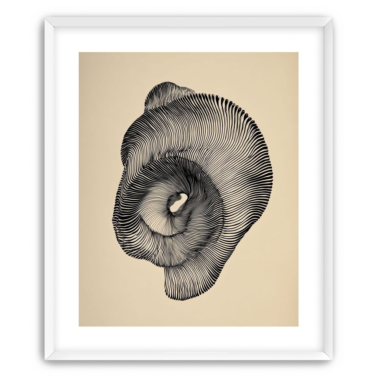 A hollow within black lines
