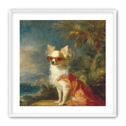 Sunglasses on the seaside dog