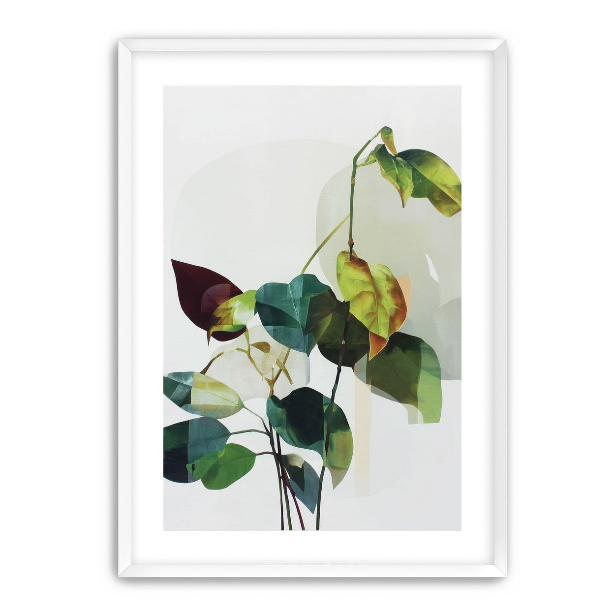 Leaves within pale shadows