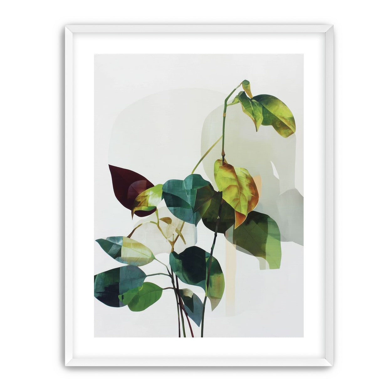Leaves within pale shadows