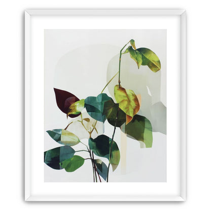 Leaves within pale shadows