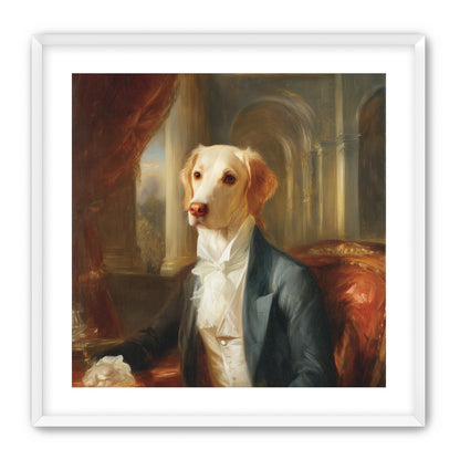 A dog in formal wear