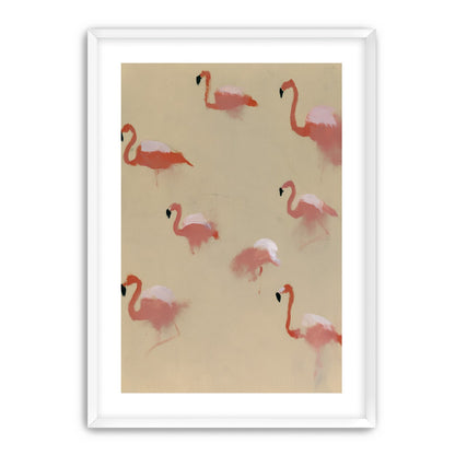 Flamingos in quiet drift