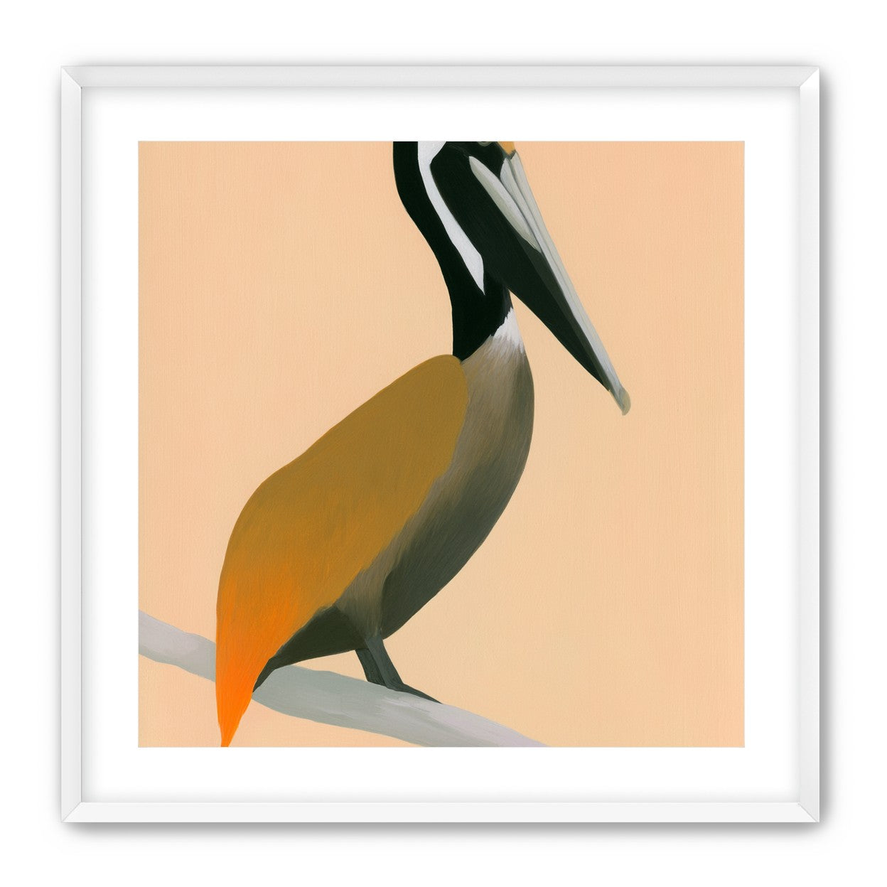 Pelican in peach light
