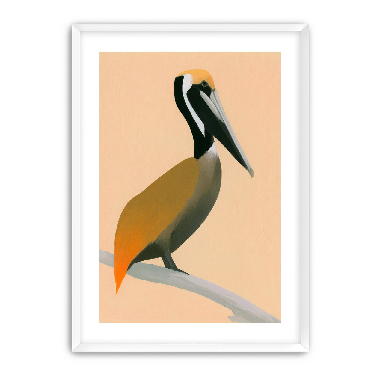 Pelican in peach light