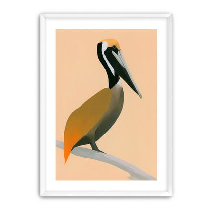 Pelican in peach light
