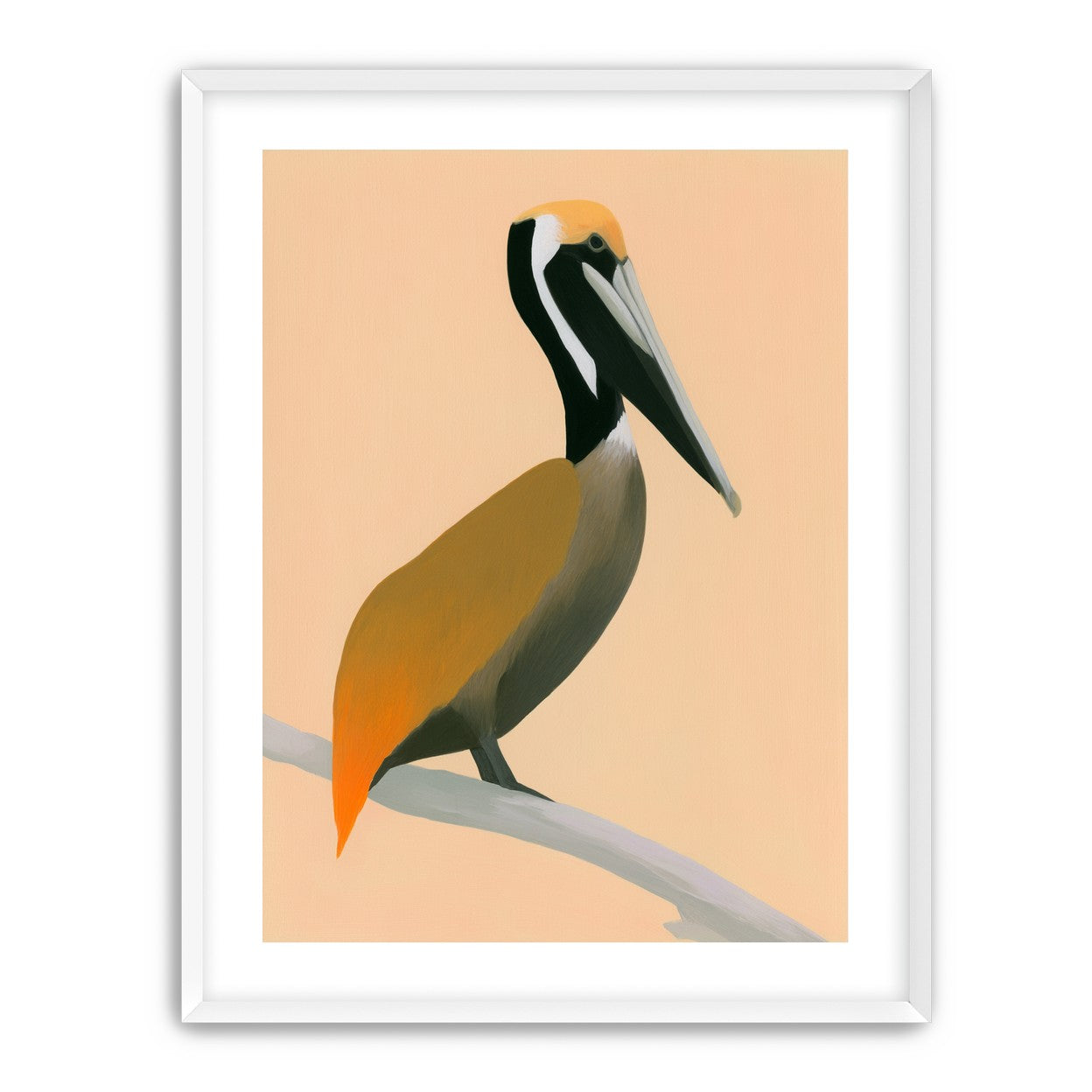 Pelican in peach light