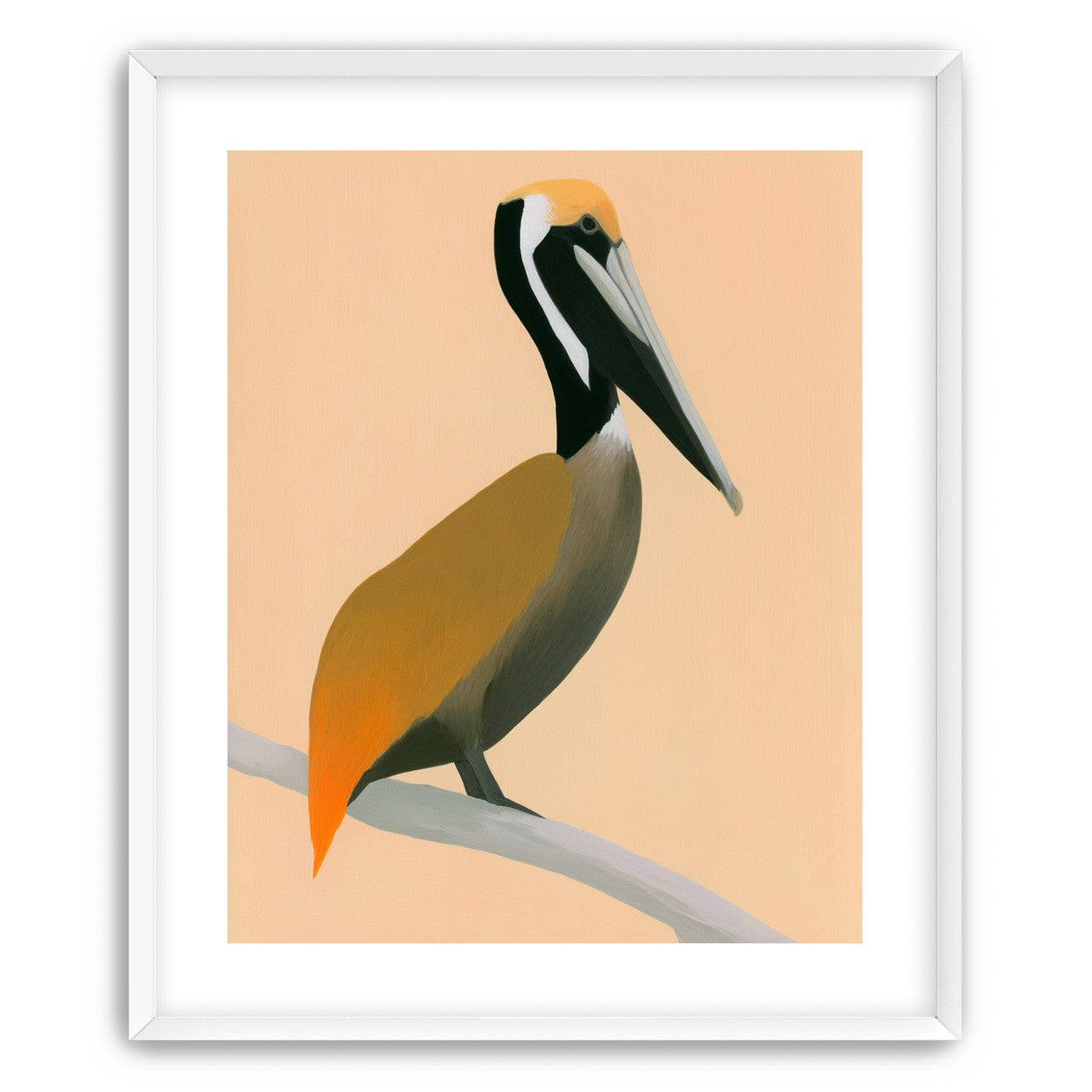 Pelican in peach light