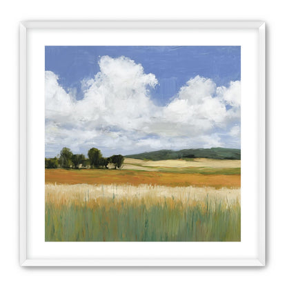 Meadow Under Clouds
