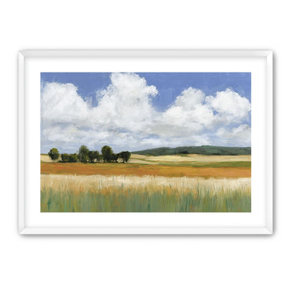 Meadow Under Clouds