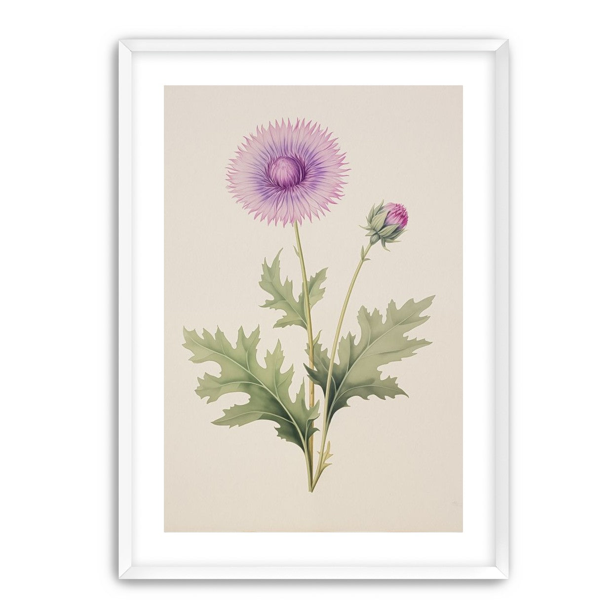 Lavender Radiance