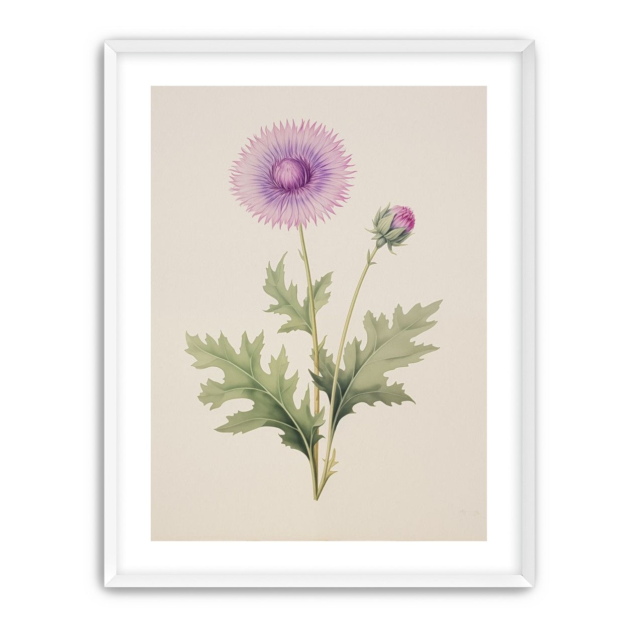 Lavender Radiance
